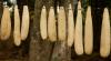 DOLJ Seminte de luffa productie proprie